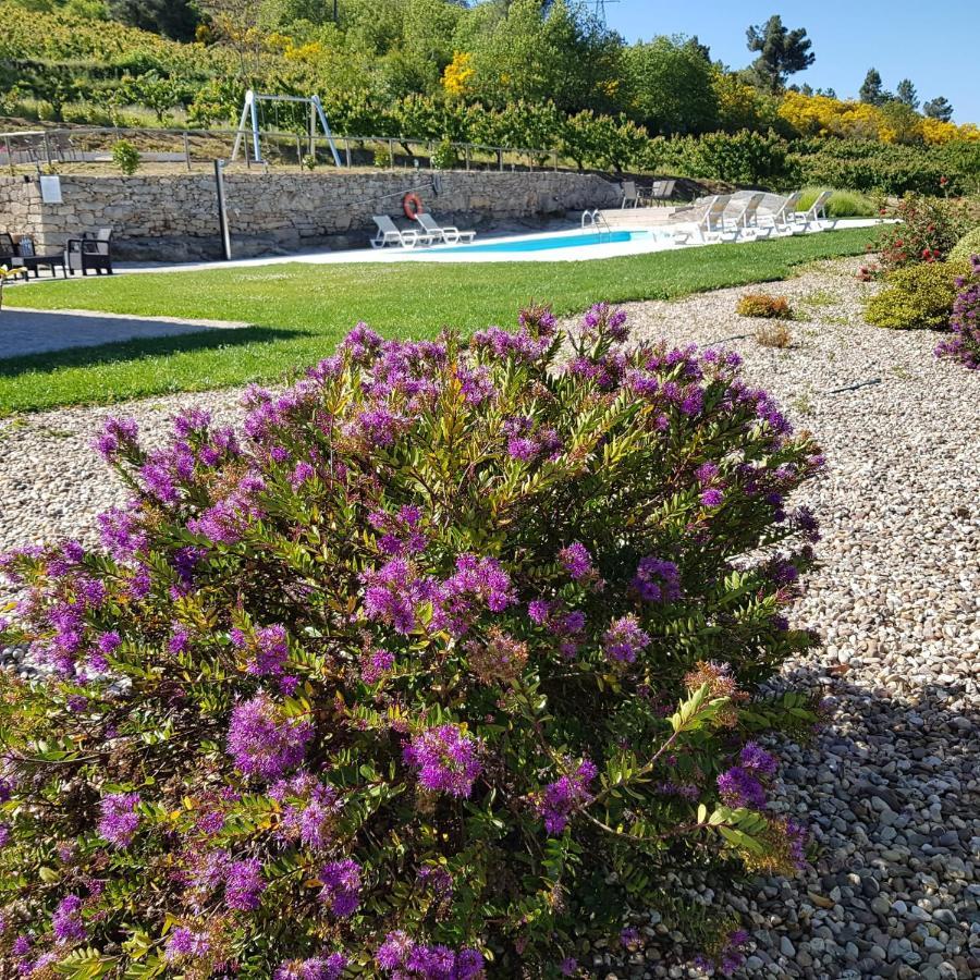 Quinta Bemboa Turismo Espaco Rural Aricera Kültér fotó