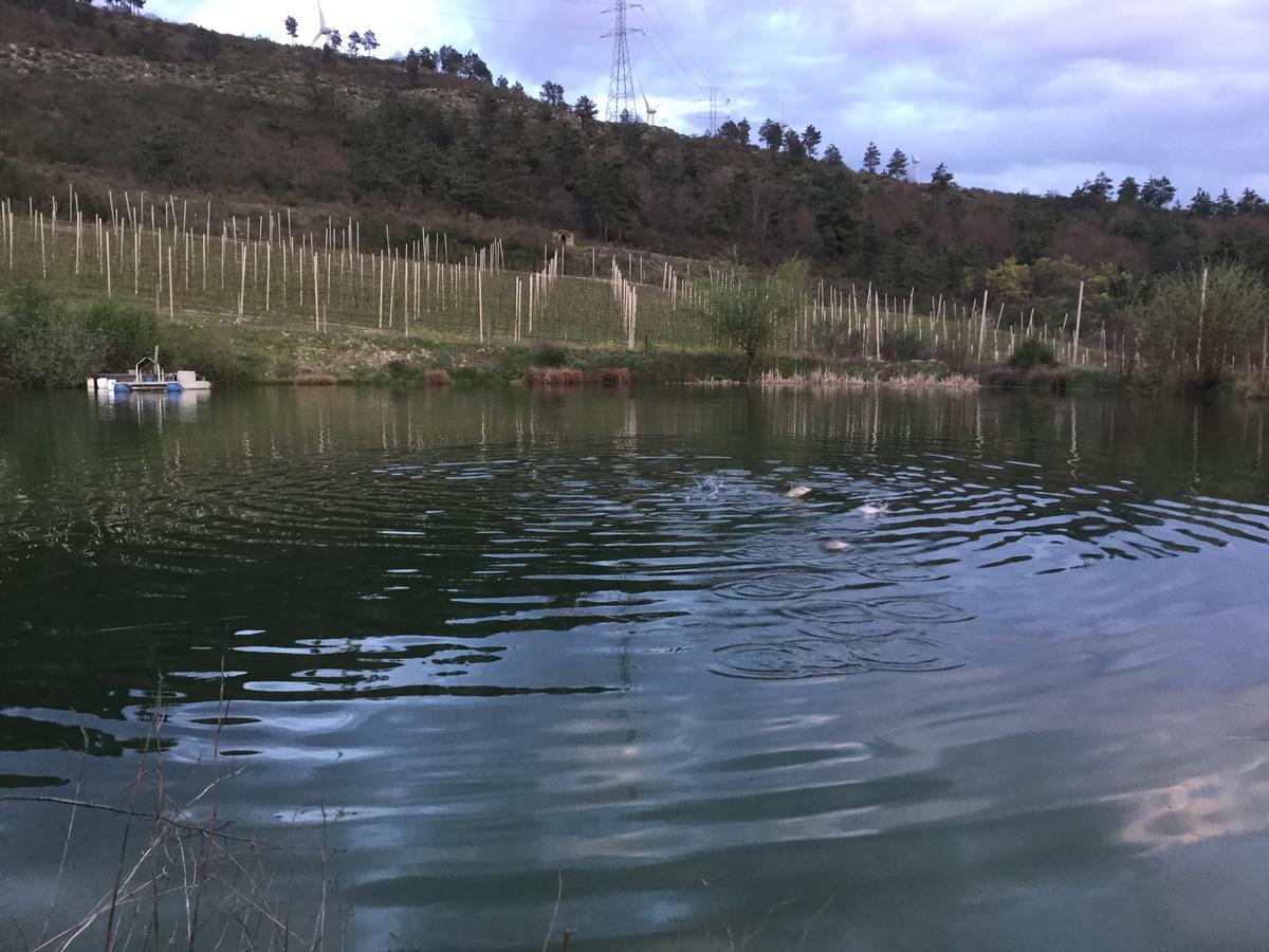 Quinta Bemboa Turismo Espaco Rural Aricera Kültér fotó