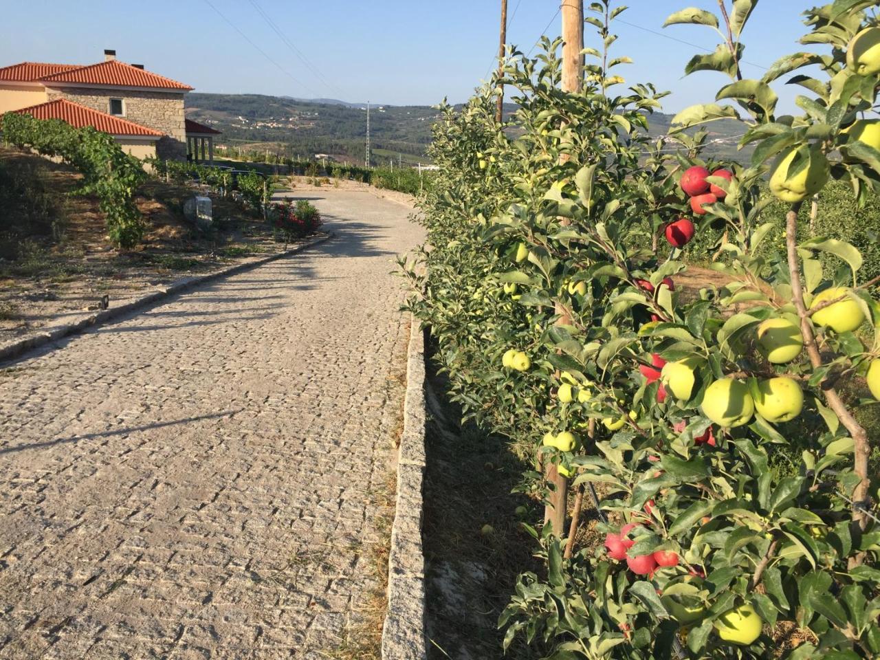 Quinta Bemboa Turismo Espaco Rural Aricera Kültér fotó