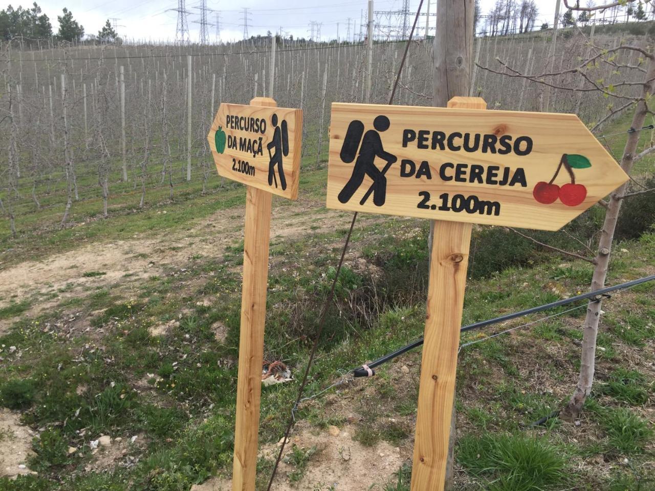 Quinta Bemboa Turismo Espaco Rural Aricera Kültér fotó