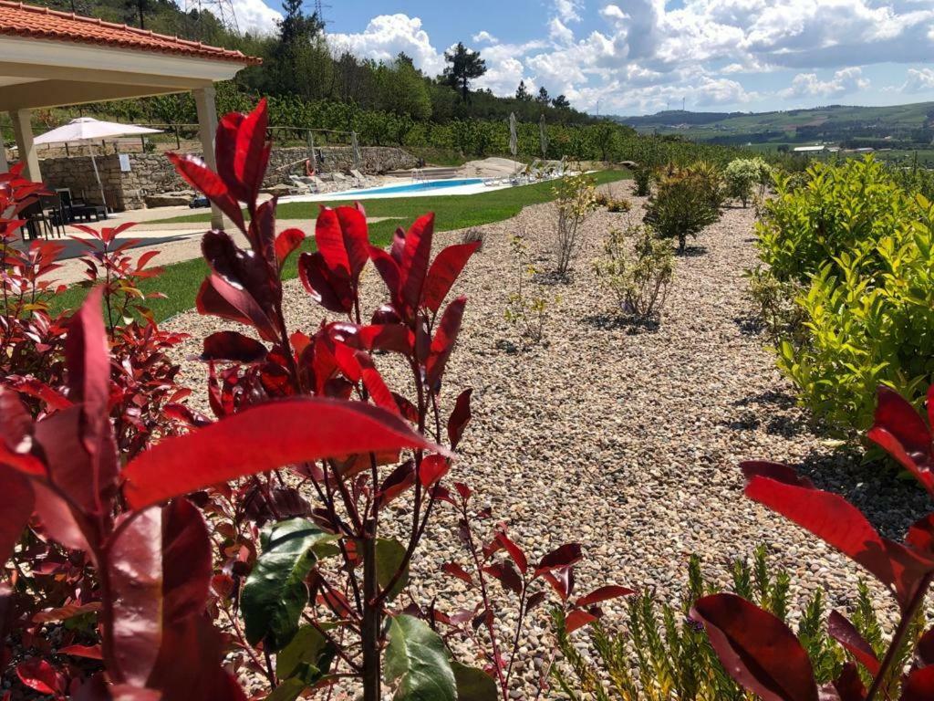 Quinta Bemboa Turismo Espaco Rural Aricera Kültér fotó
