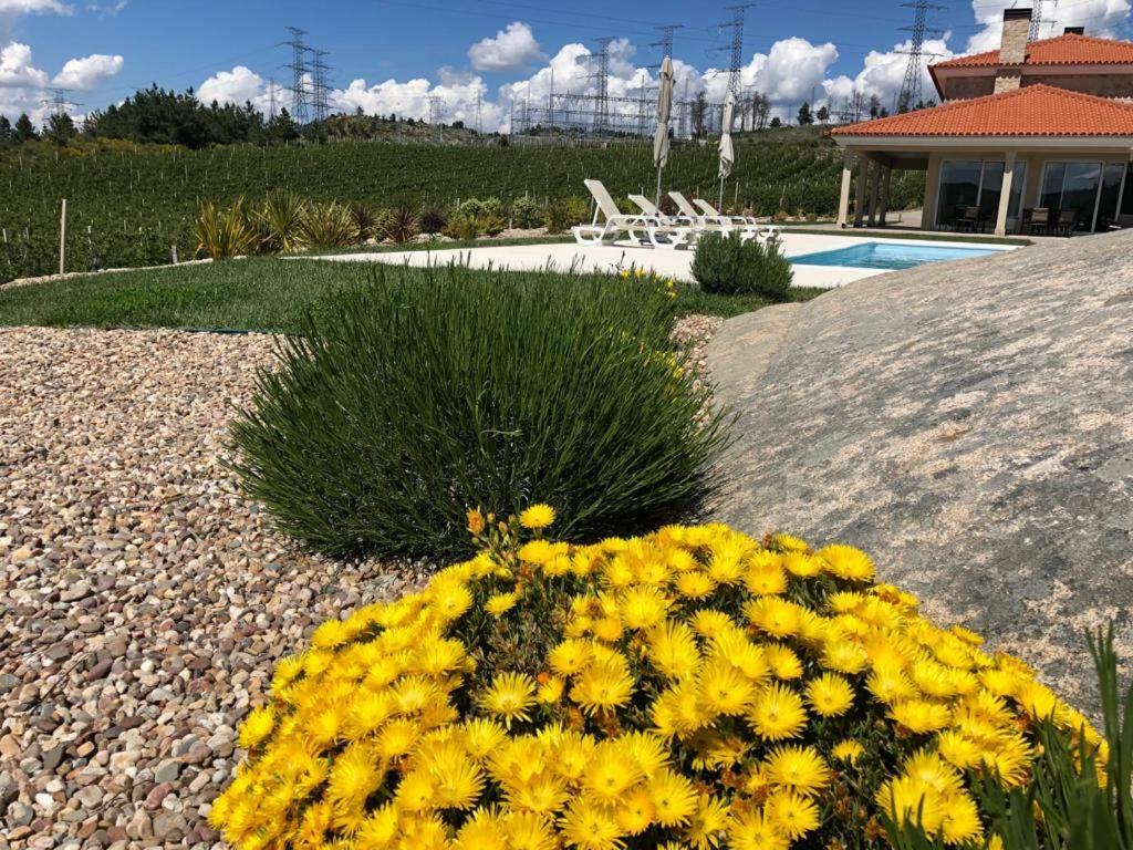 Quinta Bemboa Turismo Espaco Rural Aricera Kültér fotó
